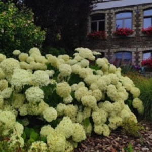 Week-end belge 🇧🇪.#belgium